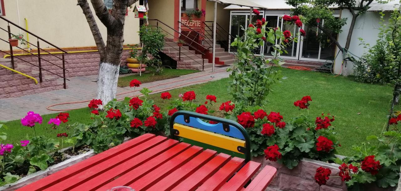 Copou Inn Ιάσιο Εξωτερικό φωτογραφία