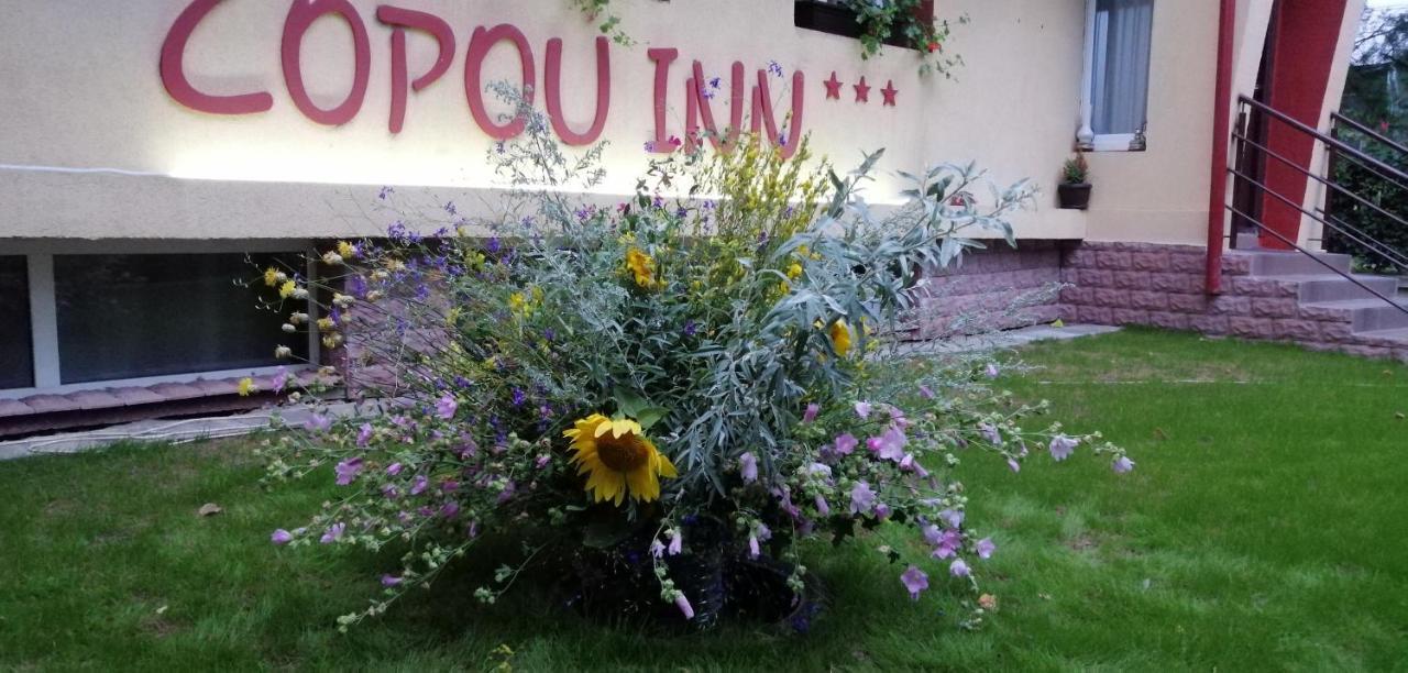 Copou Inn Ιάσιο Εξωτερικό φωτογραφία